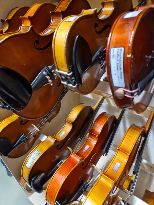 16.11.2023: Hamburg-Sächsischer Abend in der Pirnaer Musikschule Sächsische Schweiz