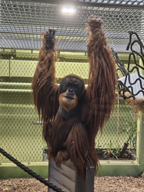 HSA am 21.10.2025 im Dresdner Zoo